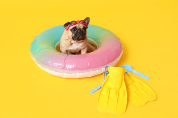 Cute French bulldog with glasses, inflatable ring and flippers on yellow background