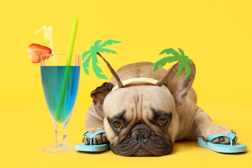 Cute French bulldog with flip-flops and cocktail on yellow background