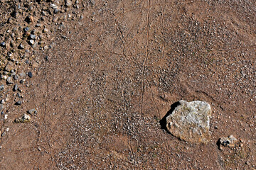 Earthworm tracks formed after rainstorm. Now the tracks are visible in dried puddle 