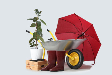 Umbrella, plant, gardening tools and wheelbarrow on white background