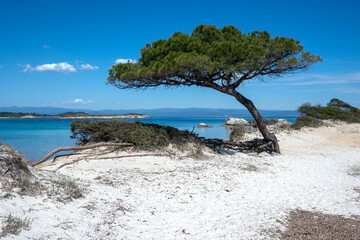 Sithonia coastline near Karydi Beach, Chalkidiki, Greece