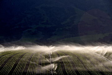 Backlit Spray from irrigation sprinklers against dark slopes of the Santa Lucia mountain range,...
