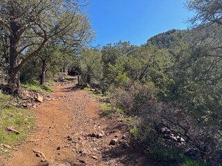 Fototapeta premium Springtime view of the Gowan hiking trail in Tonto Natural Bridge State Park in Pine, Arizona with bright blue sky copy space in an area above the natural bridge.