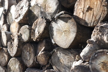 SIERRA DE LAS NIEVES. ANDALUCIA. ESPAÑA.