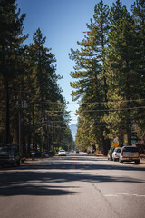 Scenic two lane road through forested area with no passing zone in Tahoe, California. Yellow road...