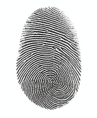 A fingerprint image, showing the intricate patterns and ridges that make up a human fingerprint