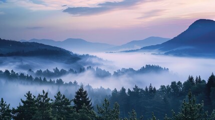 Beautiful foggy morning over mountain