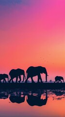 Elephant Family, A silhouette of a family of elephants walking in a line