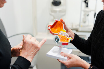 Closeup of oculist holding eye plastic model to explain vision problem to a patient