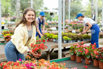 At plant exhibition and sale, girl buyer admires and inspects showcase with street plants...