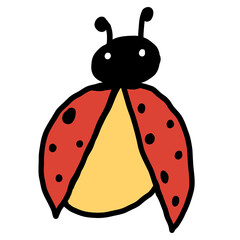 PNG ladybug on white background