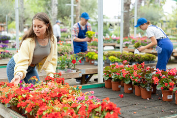 Smiling young female shopper in casual jeans and yellow cardigan selecting vibrant blooming...