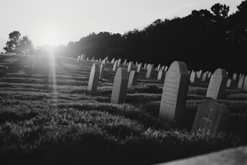 In the quiet cemetery, rows upon rows of white headstones stand as silent witnesses to the ultimate sacrifice.