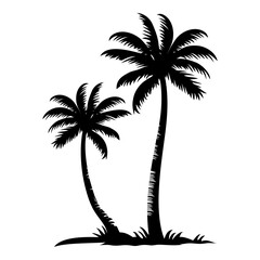 palm tree 