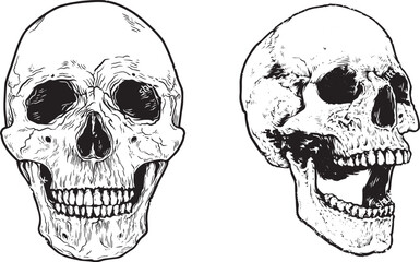 Skull Vector Art