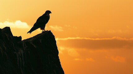 Fototapeta premium Perched Falcon, A silhouette of a falcon perched high on a cliff