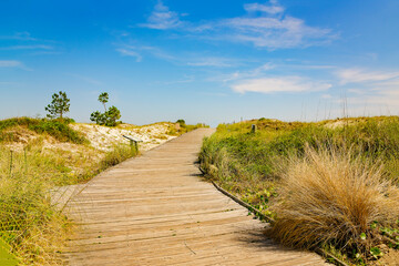 Boardwalk across sand dunes in Dauphin Island Alabama
