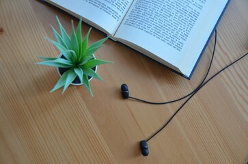 plantas, libros y música