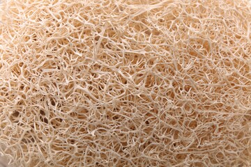 Loofah sponge as background, closeup. Personal hygiene product