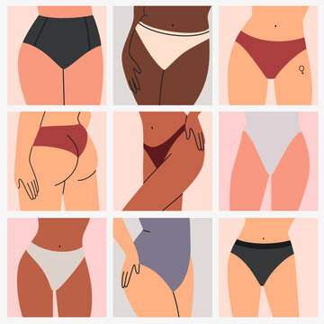 Vector illustration of different types of female underwear. Set of female underwear