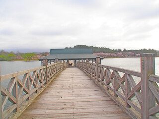 April 18, 2024 Tsurunomai Bridge, Aomori Prefecture