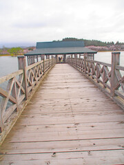 Obraz premium April 18, 2024 Tsurunomai Bridge, Aomori Prefecture