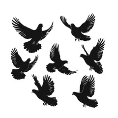 silhouetted birds in mid-flight, showcasing the grace and dynamism of avian movement
