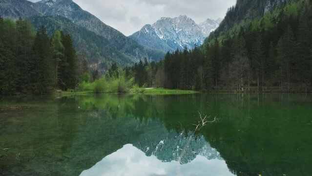 Alpine spring landscape with mountain lake. Plansarsko lake with green forest in Jezersko valley, Slovenia, Europe, 4k