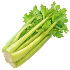 Celery, PNG isolated white object