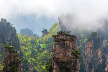 mountain landscape with fog. Towering mountain peaks atop hills in the Mount zhangjiajie surrounded by thick clouds and mist in the morning. xiangxi, Hunan, China. zhangjiajie national forest park.