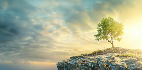 Lone tree on rocky outcrop under dramatic sky at sunset - obrazy, fototapety, plakaty