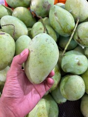 green mango fruit