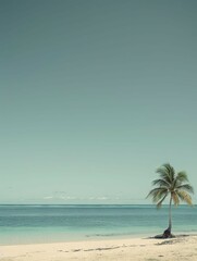 Tranquil palm tree on tropical shore - A calm depiction of a lone palm tree on a pristine tropical beach, against a clear blue sky and calm sea - obrazy, fototapety, plakaty