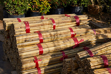 Dry bamboo pile preparing for crafts