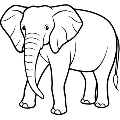 Fototapeta premium elephant isolated on white background