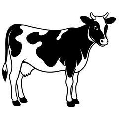 black and white cow