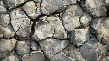Fotobehang Dry cracked earth nature s parched puzzle © abangaboy