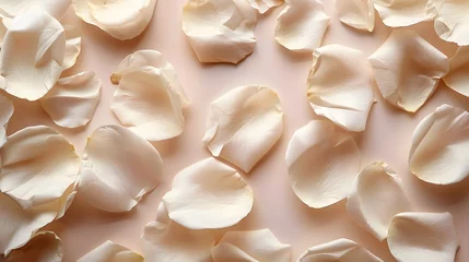 Fotobehang Abstract flower petals in pastel beige embodies beauty and calm. On the beige background, a pattern emerges as white rose petals are scattered, creating an atmosphere that is both elegant and softly. © horizor