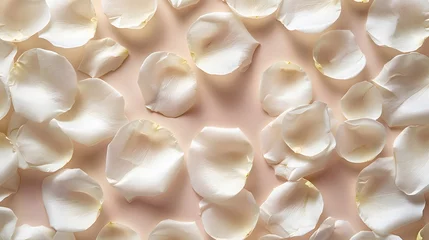 Fotobehang Abstract flower petals in pastel beige embodies beauty and calm. On the beige background, a pattern emerges as white rose petals are scattered, creating an atmosphere that is both elegant and softly. © horizor