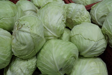 Green Cabbage and Vegetables from Sacol&atilde;o market