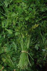 Green Parsley and Vegetables from Sacolão market