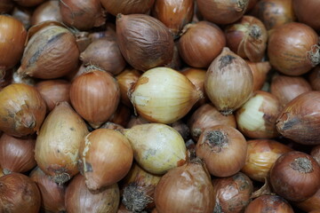 Onion and Vegetables from Sacolão market