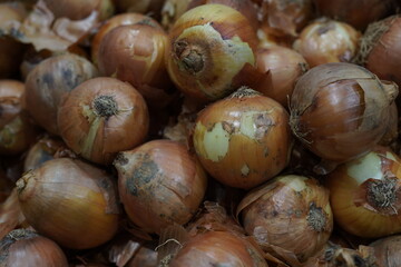 Onion and Vegetables from Sacolão market
