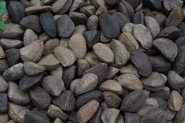 Brazil nuts with shell from Sacolão market