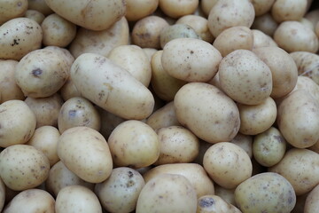 Yellow Potato and Vegetables from Sacolão market