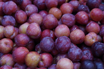 Plum Pink Rock Fruits from Sacolão market