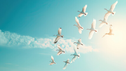 Flock of birds flying under blue sky with clouds