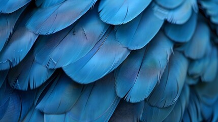 Digital art background of vibrant blue large bird feathers with detailed texture, perfect for a serene blue feather display.