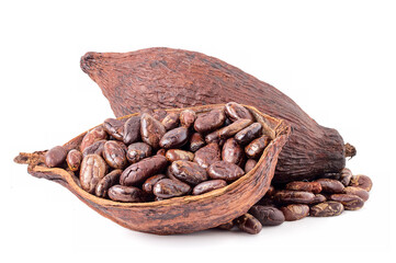 Roasted cocoa beans in the shell and dried cocoa fruit. isolated on a white background.