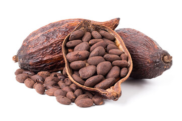 Roasted cocoa beans in the shell and dried cocoa fruit. isolated on a white background.